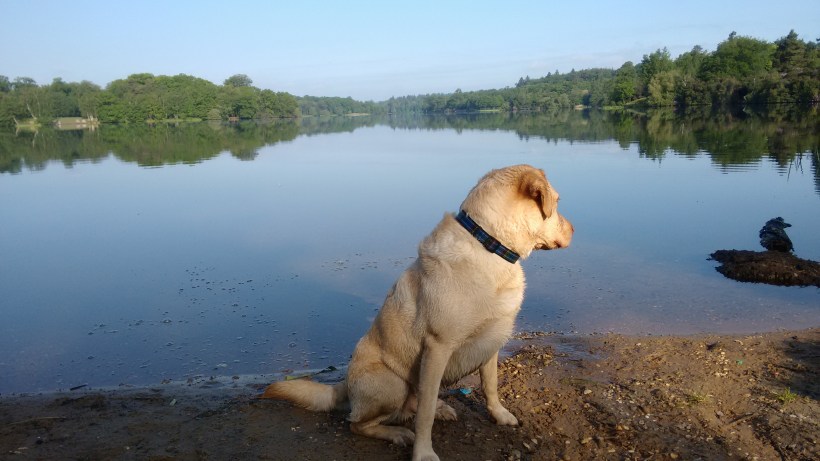 IMG_20160526_074014915