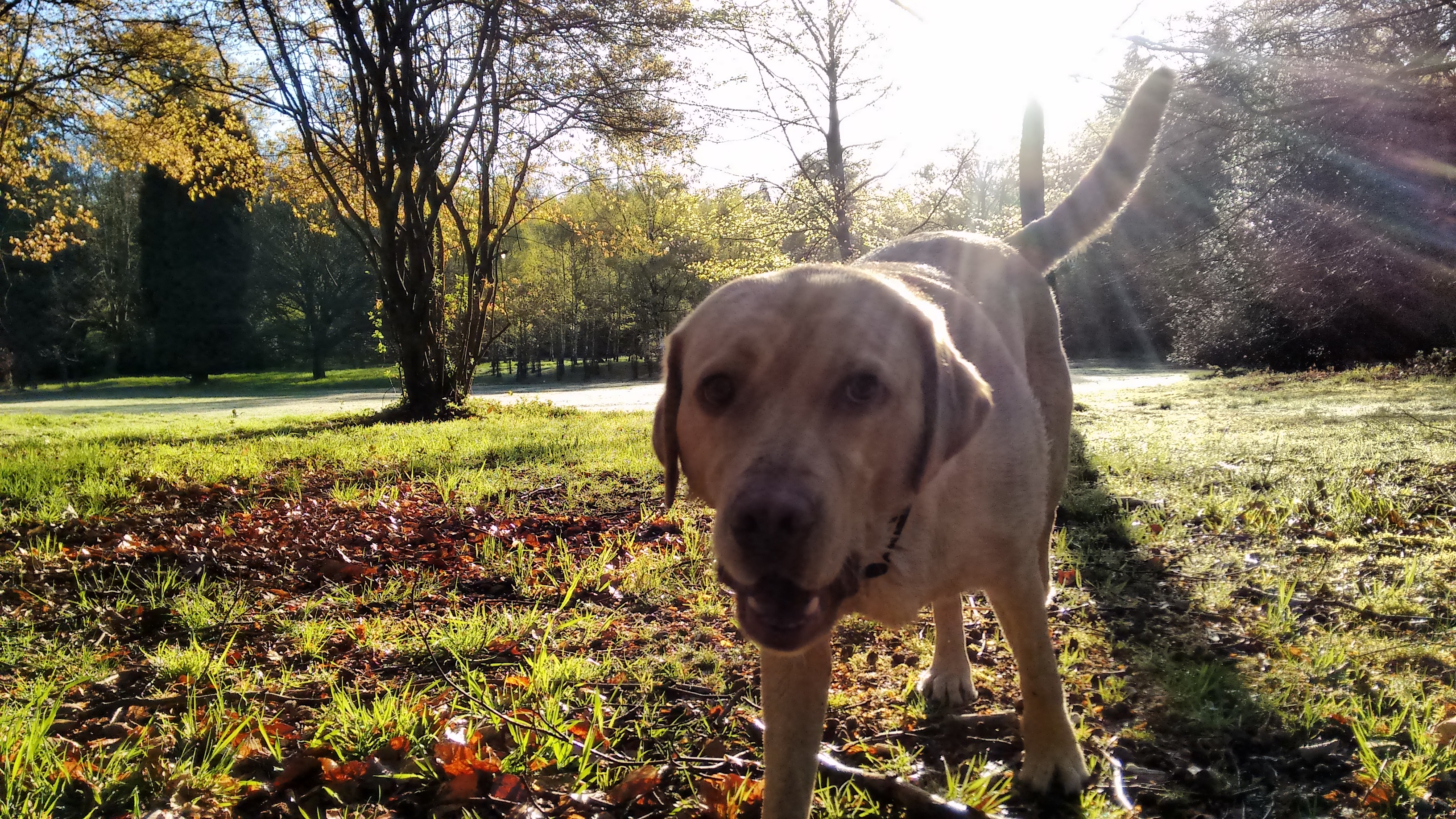 IMG_20160503_071929298