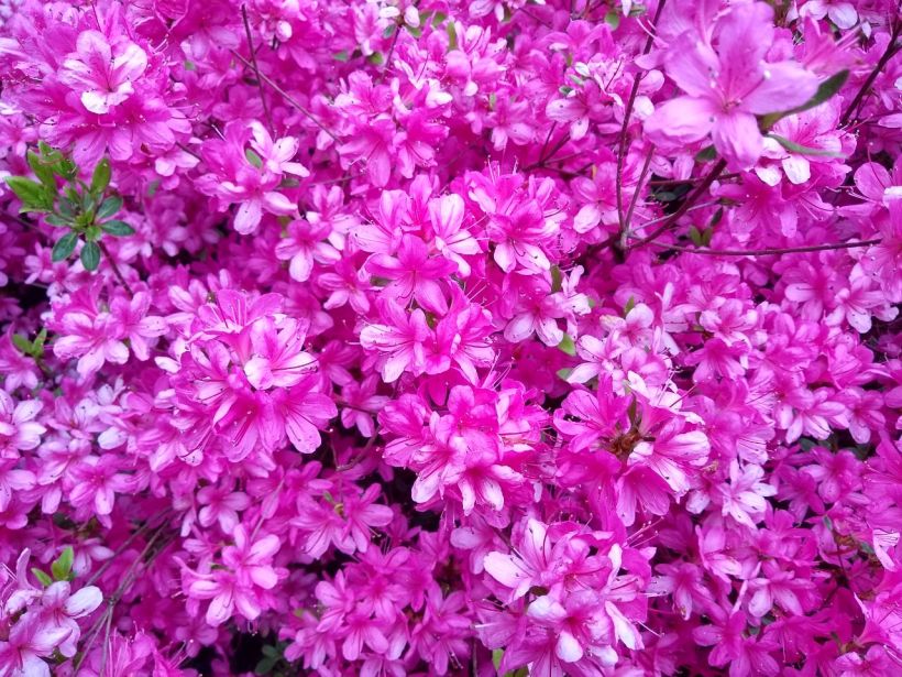 IMG_20190429_113715_891