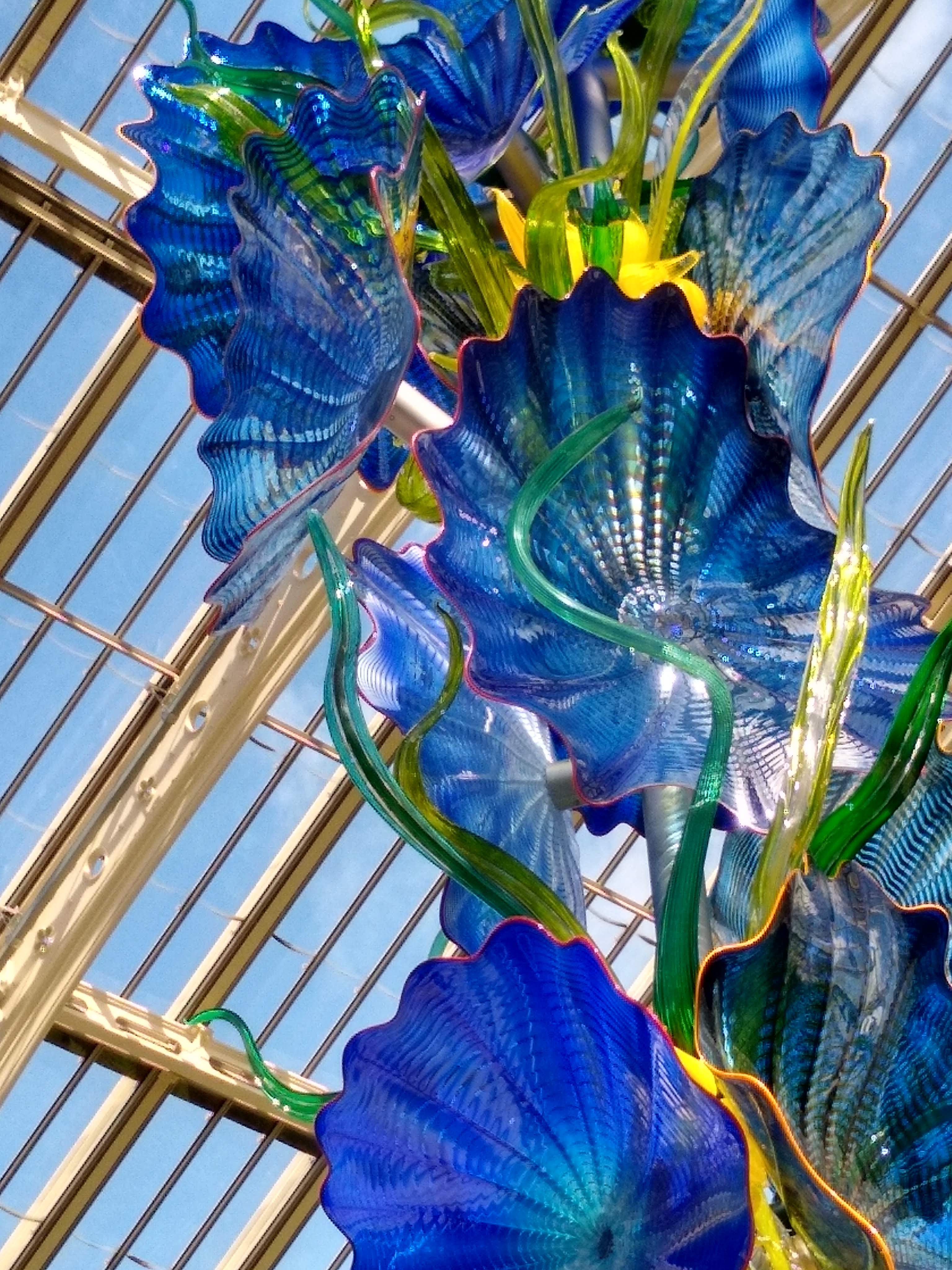 IMG_20190504_103131904_HDR