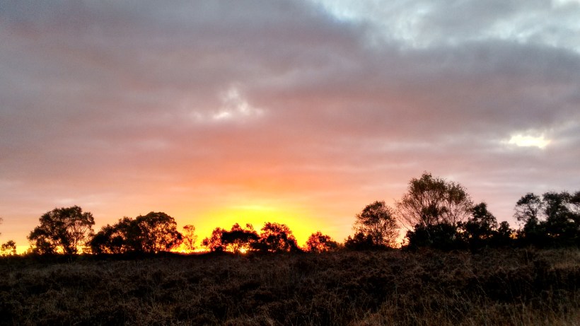 IMG_20151022_074206153_HDR